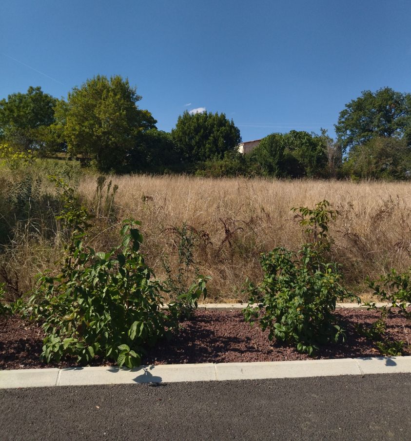 Vendre Un Terrain à Un Constructeur