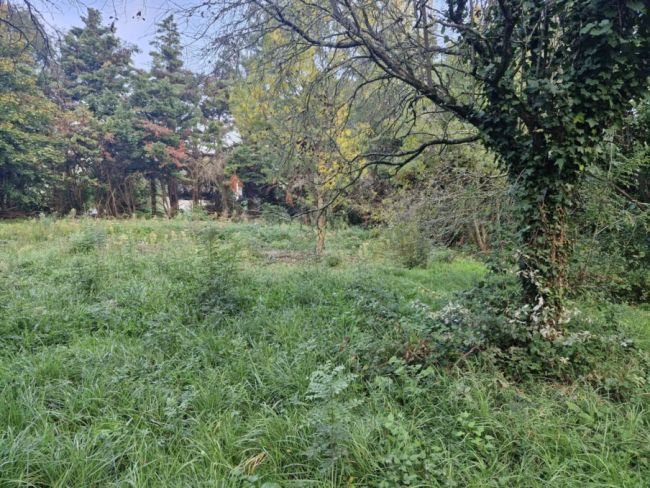 Terrain à bâtir de 900 m² à Tournefeuille (31170) – Proche des écoles et des commodités
