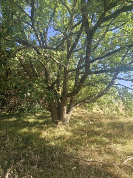 Terrain de 800m²