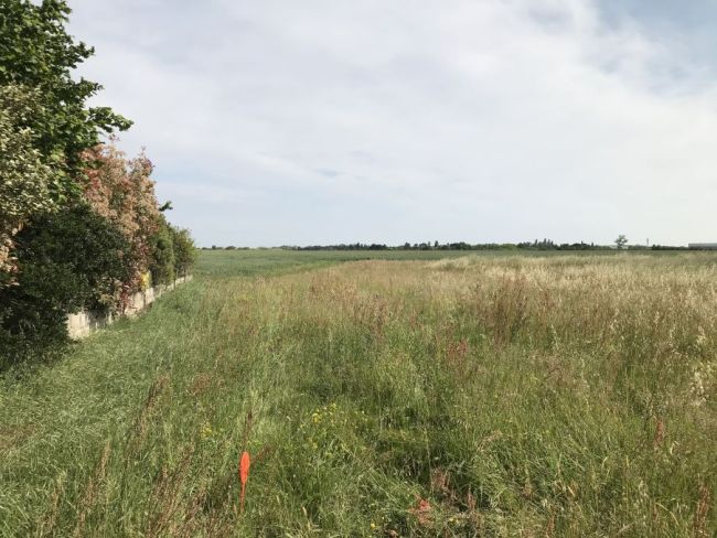 Terrain constructible de 1 080 m² à Clermont-Savès (32600) – Emplacement idéal proche des écoles et commodités