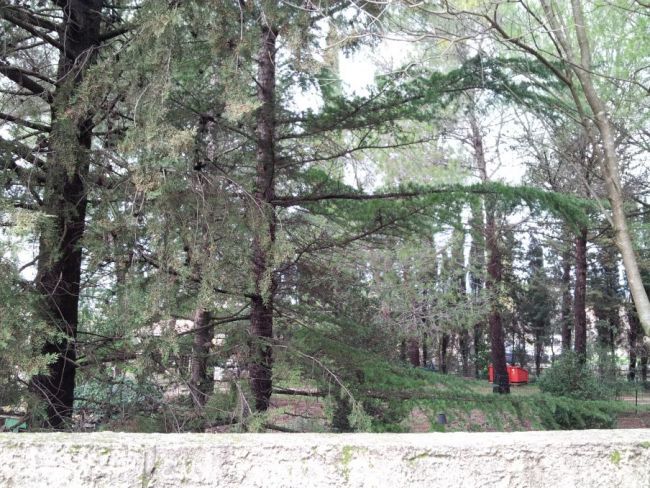 Terrain à St Clément de rivière