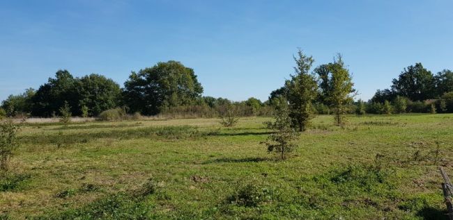 Terrain 1300m² à Moissac 82200