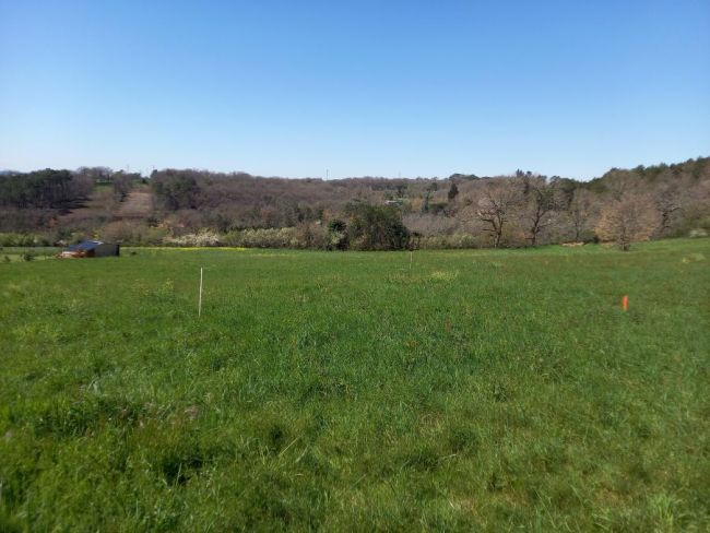 Castres Les Salvages, terrain viabilisé de 970 m²