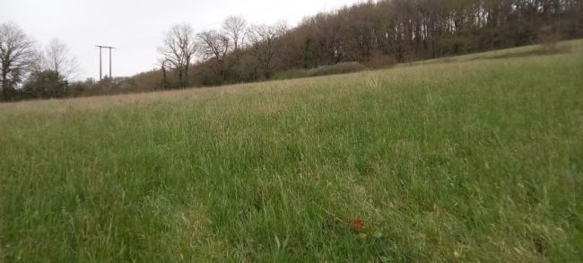 Noailhac, terrain à bâtir viabilisé de 650 m²