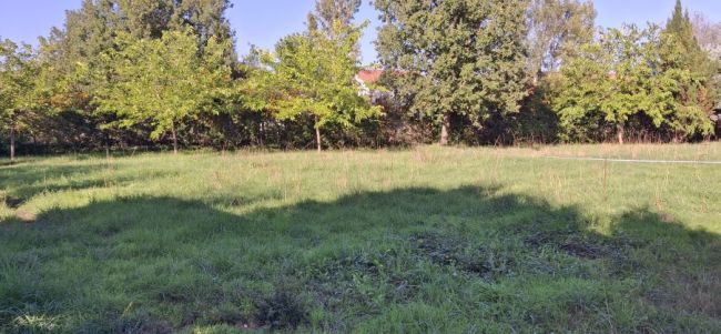 Terrain 815m² viabilisé Tournefeuille