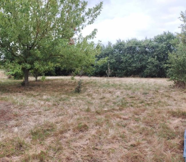 Terrain secteur Cugnaux
