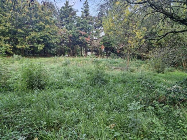 Dernière opportunité sur Cugnaux