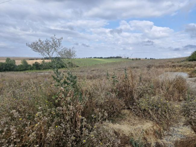 Terrain à batir sur la commune de Saint-Clar-de-Rivière