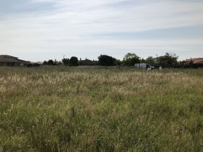Terrain constructible de 1 200 m² proche Tournefeuille (31170) Emplacement privilégié pour votre projet de maison familiale