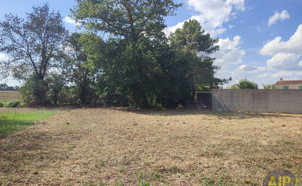 NOUVEAUTÉ Terrain PLAISANCE DU TOUCH