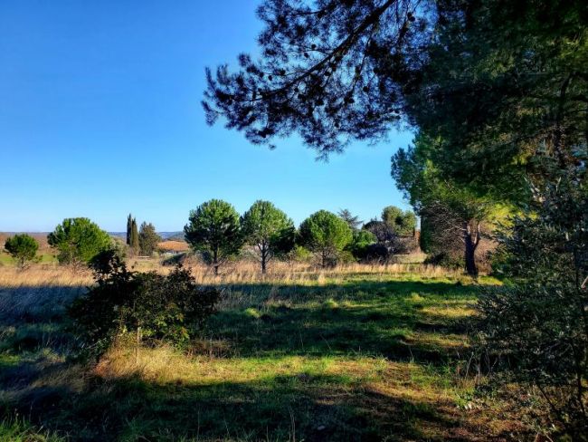 Alignan du vent dans l'Hérault  entre Roujan et Pézenas terrain constructible viabilisé de 405m²