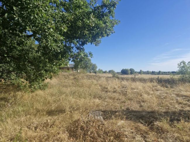 Terrain à bâtir de 630 m² à Aussonne  le point de départ d’une maison qui vous ressemble