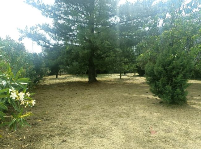 Division de 4 lots dernière disponnibilité