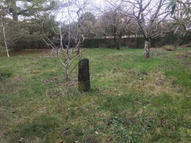 terrain centre balma 510m²