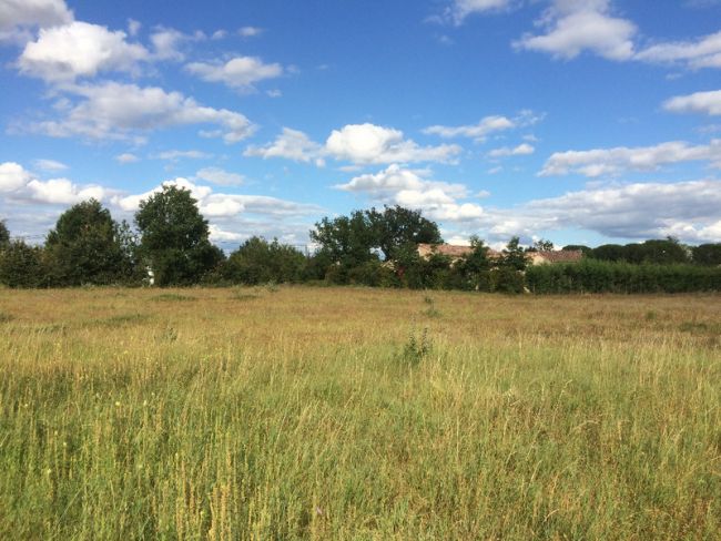 Blan terrain constructible  2500m²