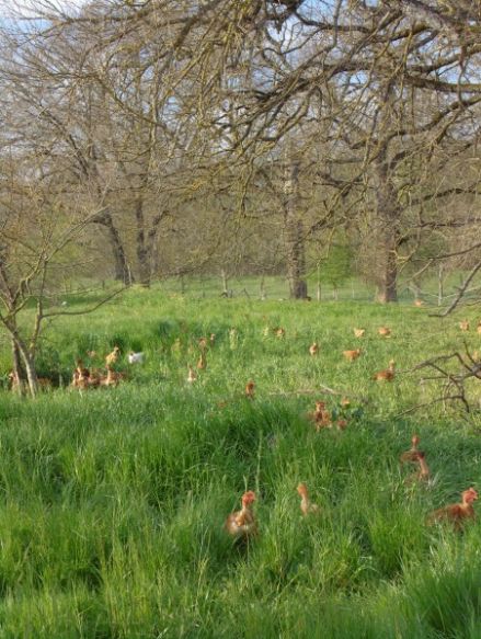 Beau terrain de 500 m² sur le secteur prisé de Brens