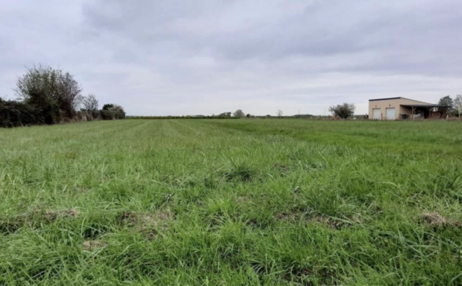 NOUVEAUTÉ Terrain à bâtir 500 m² à Roquettes (31120)