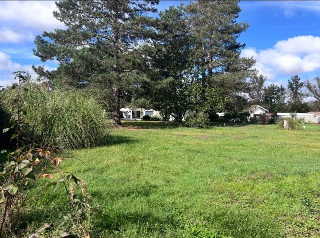 Terrain à bâtir de 700 m² plat et viabilisé