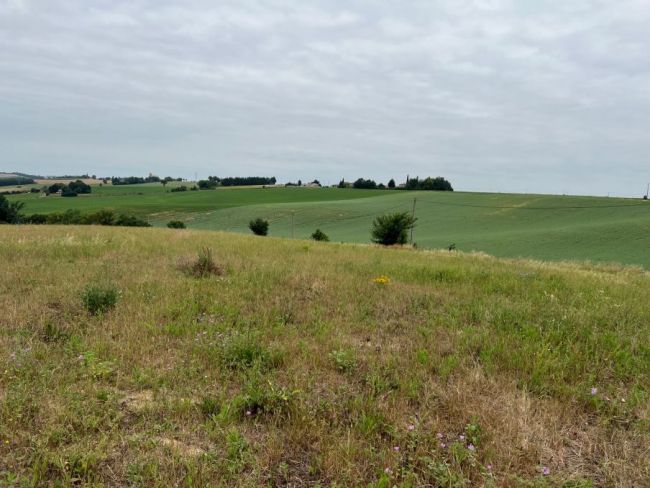 NOUVEAU - Terrain à bâtir 1000m²