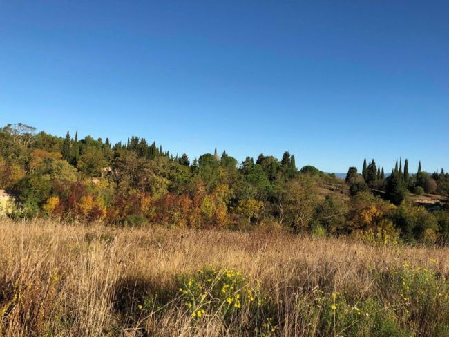 Proche du lac de la Cavayère