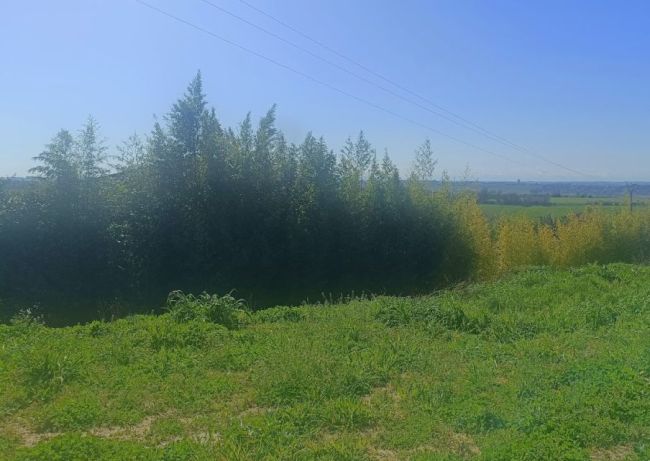 Parcelle Vue Pyrénées