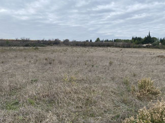 Terrain de plus de 400m² à Ferrals les corbières (11200)