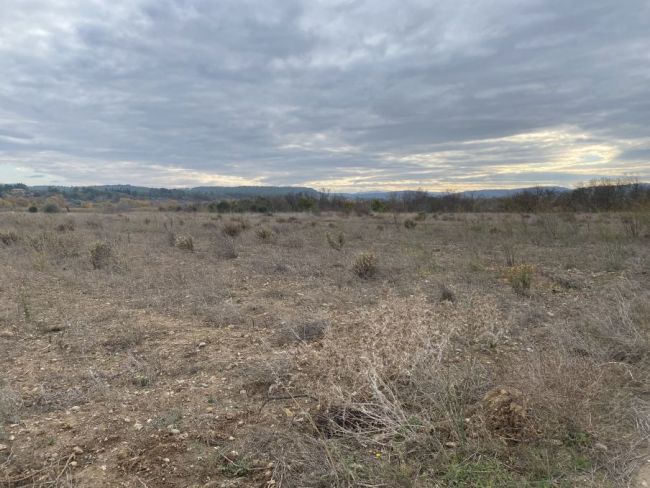 Parcelles de 300m² à plus de 600m² à Ferrals les corbières (11200)