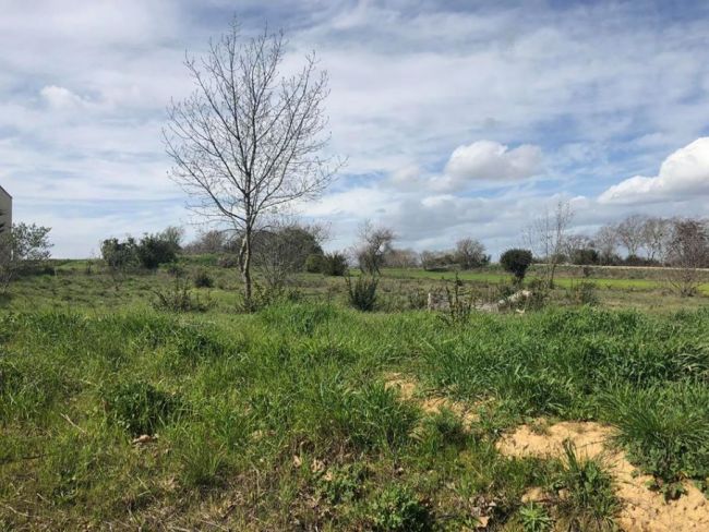 Terrain en campagne environnement calme