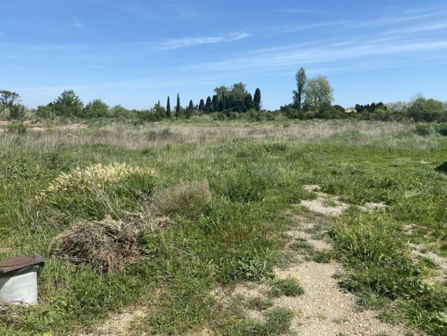 Terrain entouré de vigne à Fontcouverte (11700)