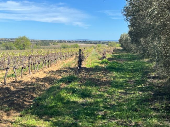 Terrain constructible de 373m² avec projet de construction