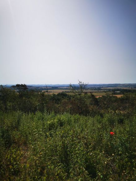 EXCLUSIVITE terrain avec vue splendide 1947m2