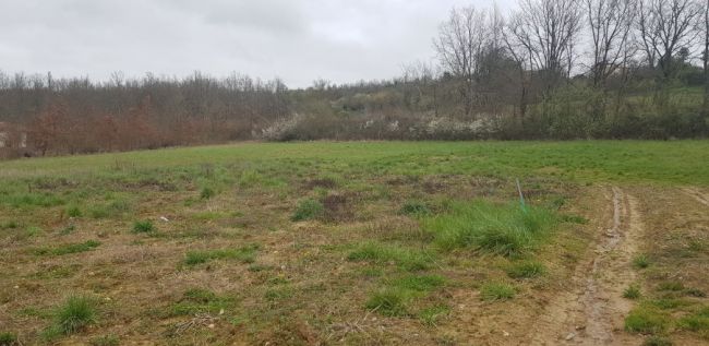 Terrain Montauban 800 m²