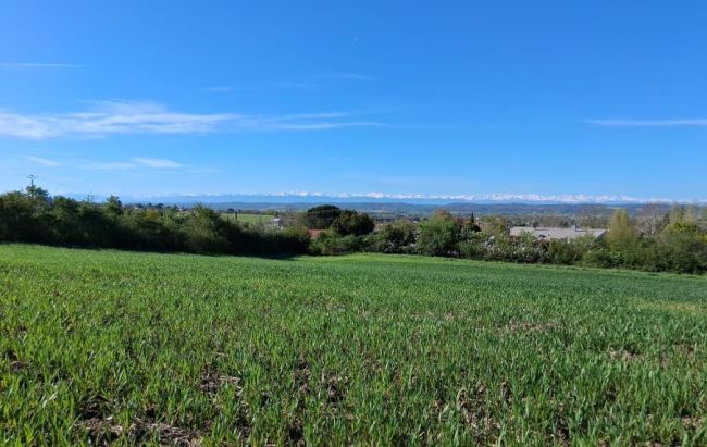 TERRAIN A BATIR 938 m2 AUTERIVE 31190