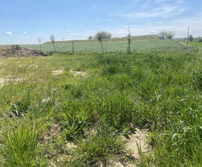 Terrain à batir de 405 m2 avec vue dégagée