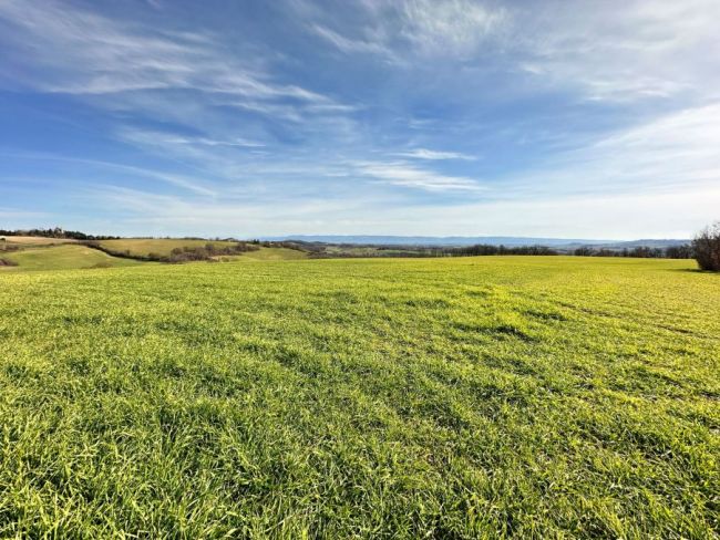 Cuq-Toulza, superbe terrain à bâtir de 1067 m²