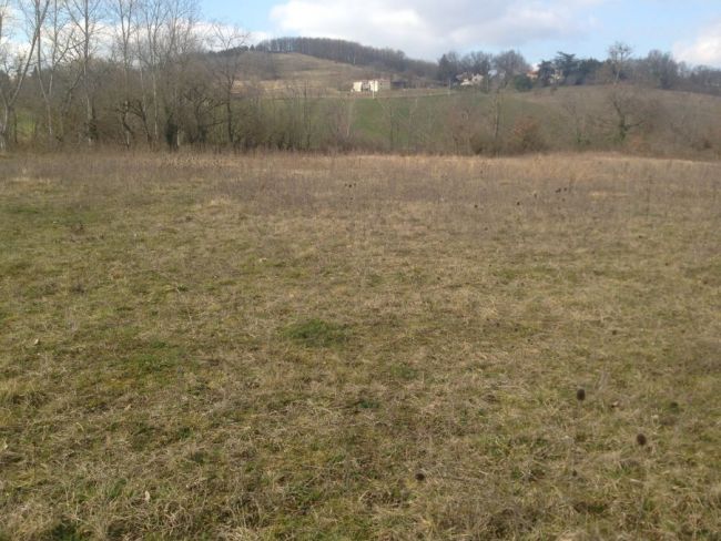 Terrain plat de 900 m²