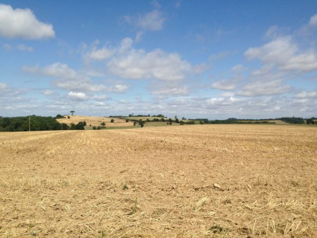 A voir sans tarder. Terrain avec vue!