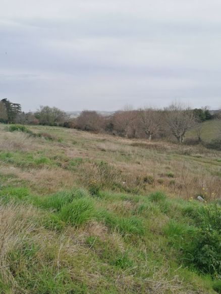 Terrain à Bâtir à Lasserre de Prouille