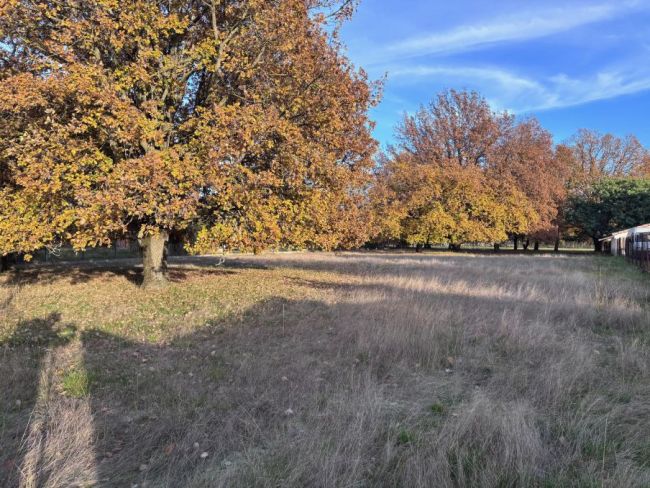 Terrain à bâtir 1031m² Centre-Ville EAUNES