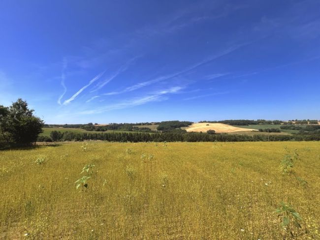 Terrain à Batir 900 m2 à Aureville 31320