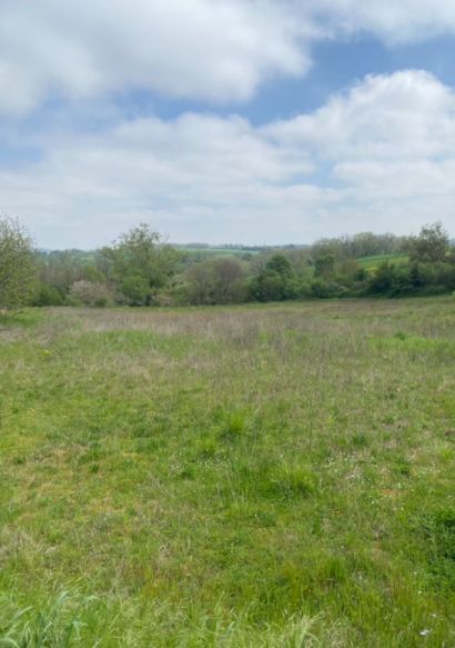 Terrain à bâtir de 424 m² à Roquesérière (31380) – Cœur de village, opportunité rare