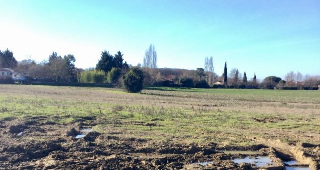 Terrain 1010m² à Roquesérière