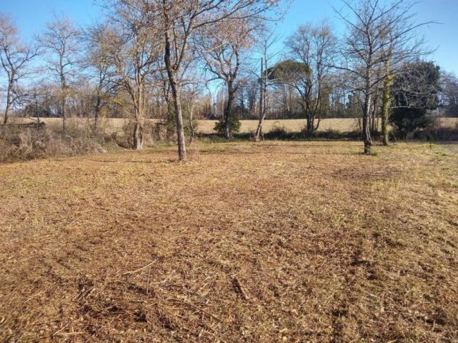 Terrain constructible 1100 m² à Soual (81580) – Lotissement calme proche écoles et commodités