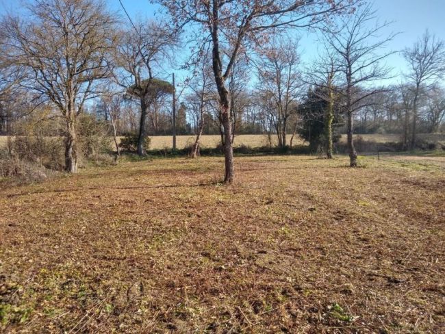 Terrain à bâtir de 1200 m² à Bout-du-Pont-de-Larn (81660), proche commodités