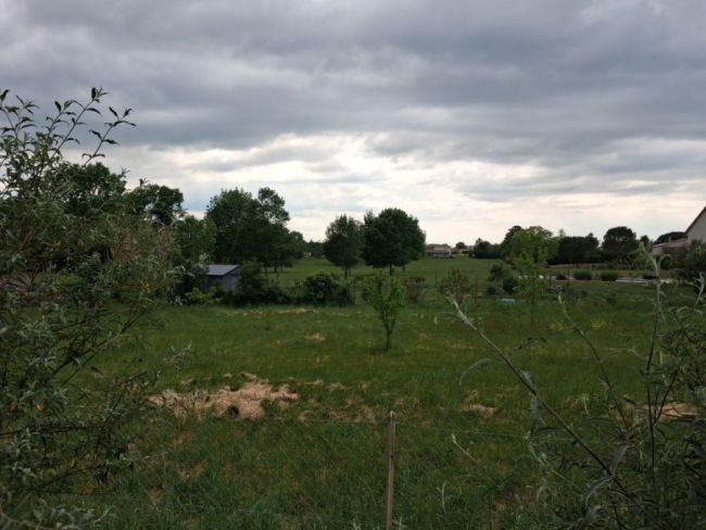 Castres, terrain plat de 1000 m²