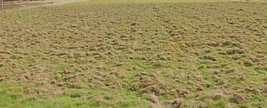 Terrain clôturé, plat