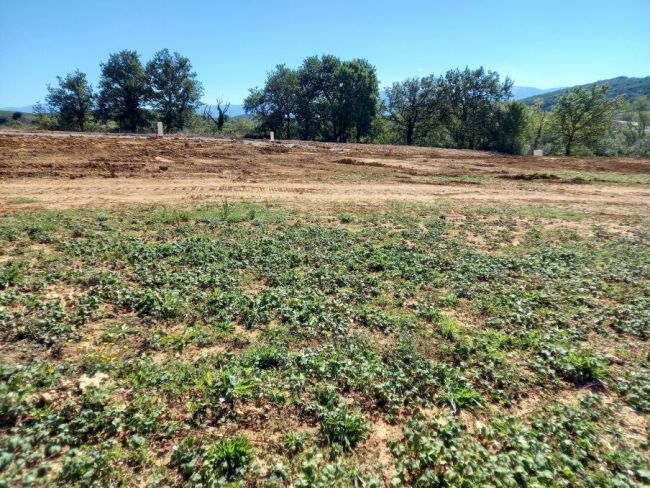 Castres, terrain à bâtir de 750 m²