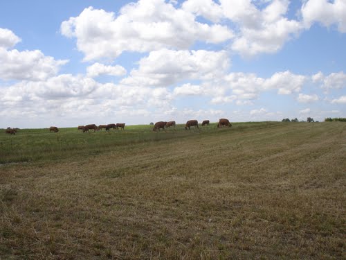 A proximité immédiate de Villeneuve sur vère