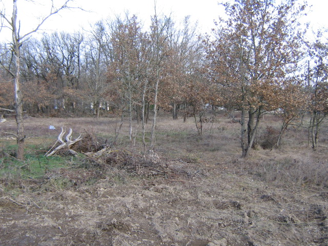 MONTBETON - Terrain constructible