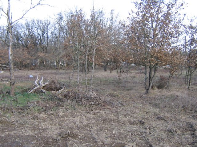 MONTBETON - Terrain constructible